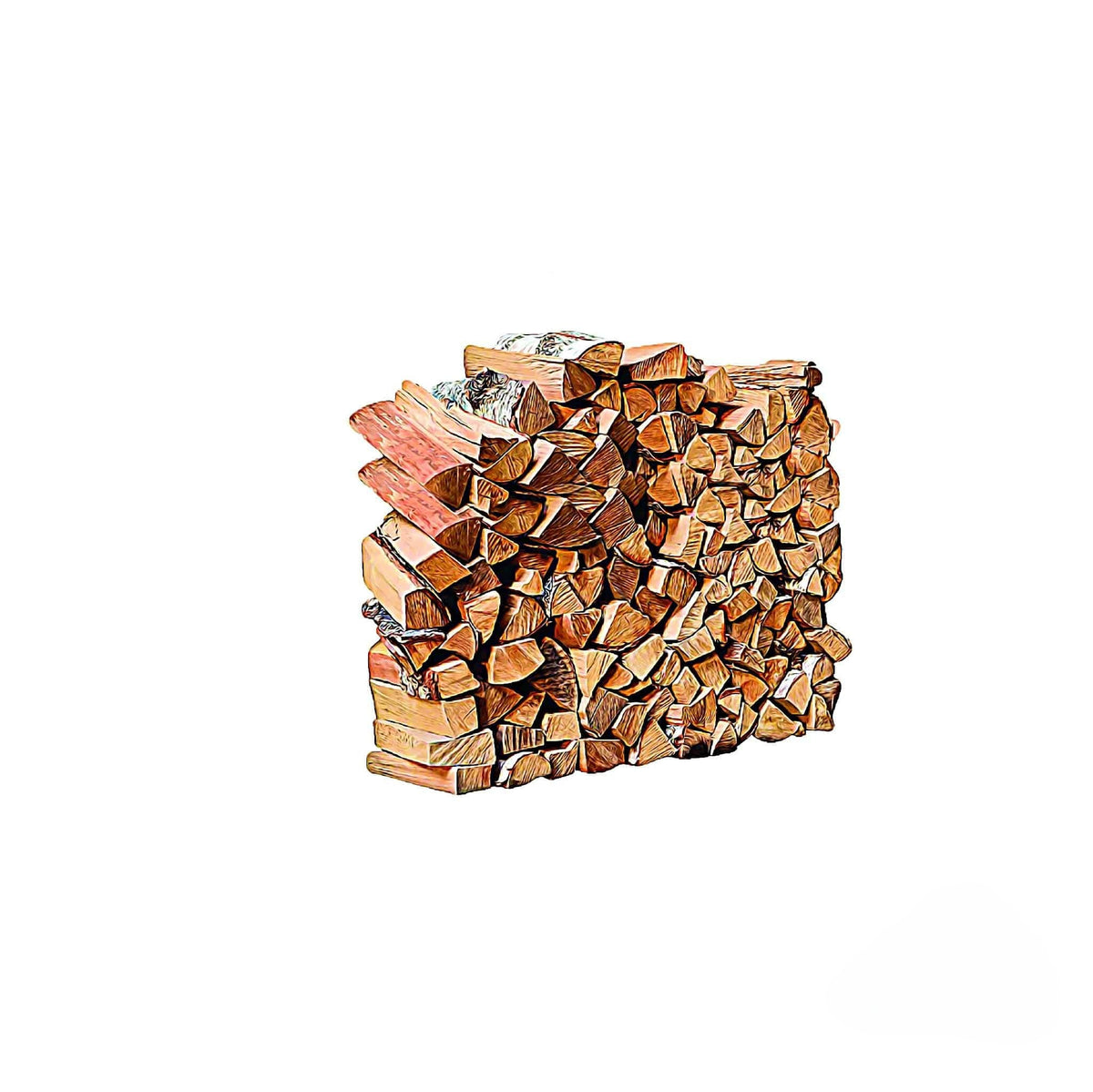 Mešana drva za kurjavo (bukev, hrast, breza, bor, smreka) – 500 kg