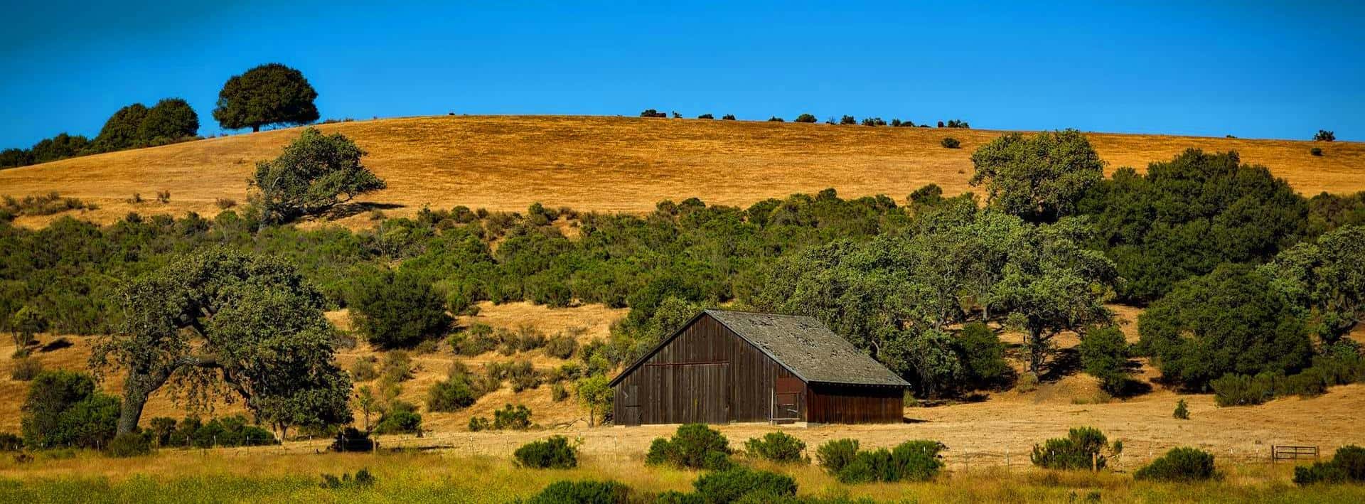 Rancho La Casa Firewood aims to preserve Southern California's unique nature. This is why we only sell CO2-neutral firewood.