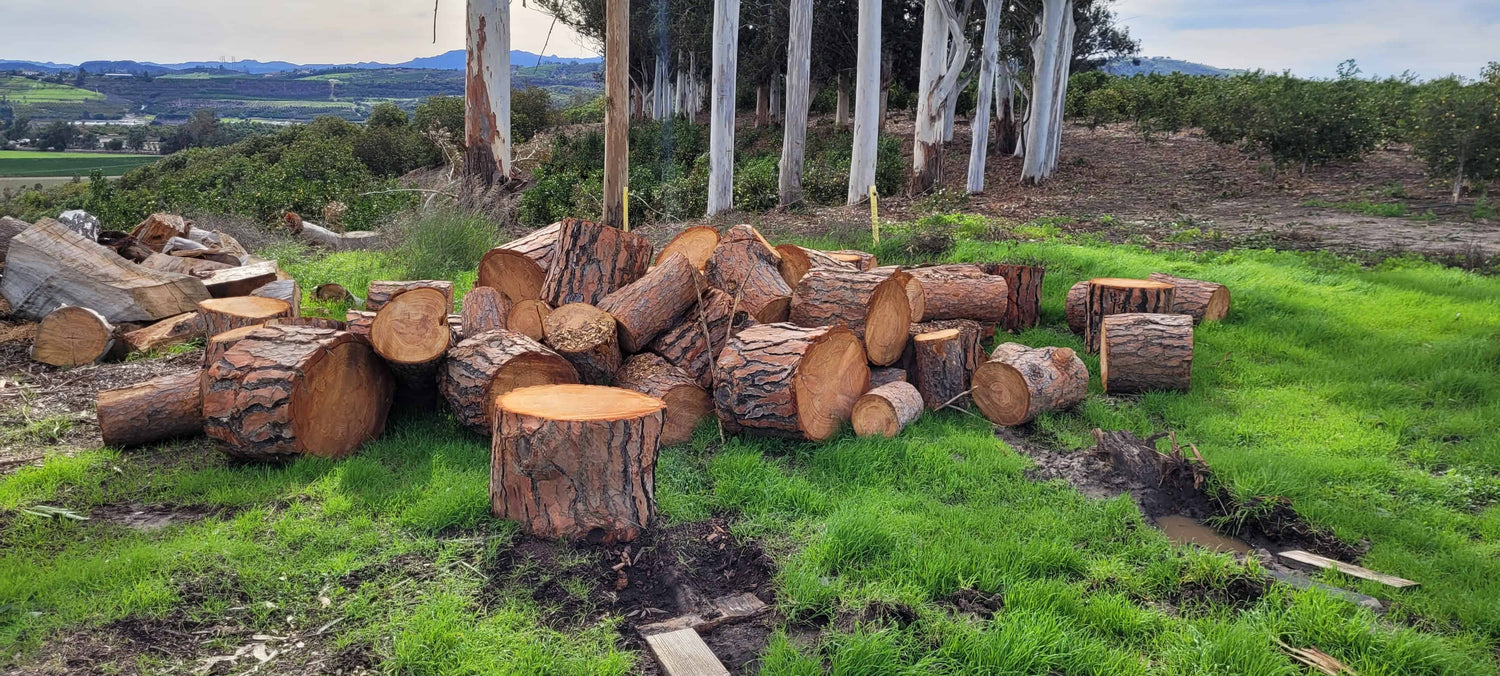 Free Tree Trunk Disposal Rancho La Casa Firewood free-tree-trunk-disposal-rancho-la-casa-firewood