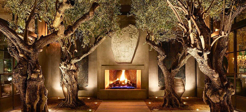 Beautiful fireplace within old growth olive trees. Preserve what you love in our unique Southern Californian lifestyle.