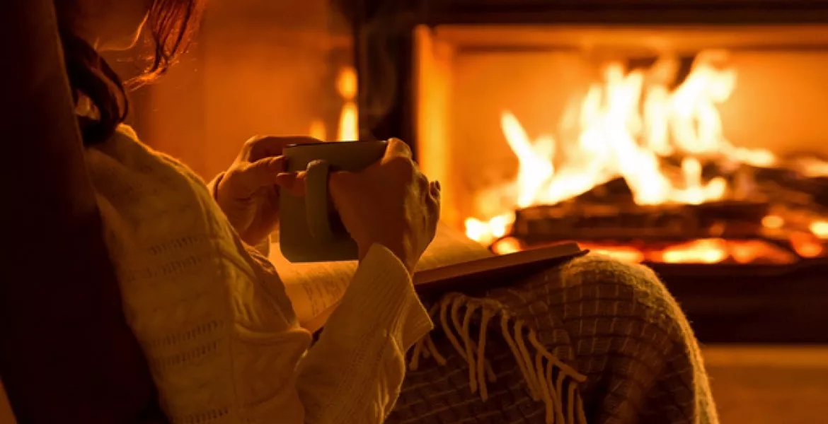 Comfortable and cozy enjoyment in front of your fireplace. Convenient online buying of firewood. From your cell phone.